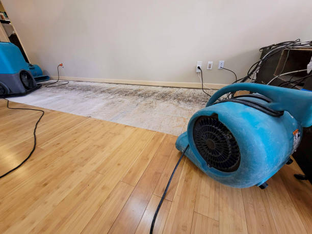 Professional Water Damage Repair technician working in Edgewater, MD